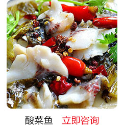 汪清地摊特色小吃培训-酸菜鱼