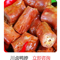 汪清地摊特色小吃培训-川卤鸭脖